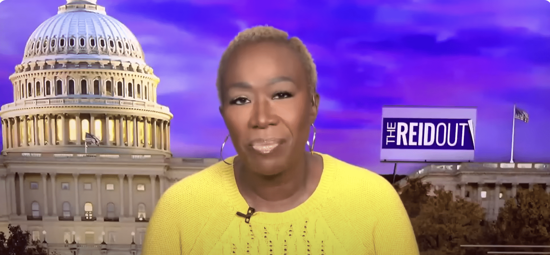 Joy Reid: ‘Black Women Have Resigned’ from Saving America After White Women Voted for Trump